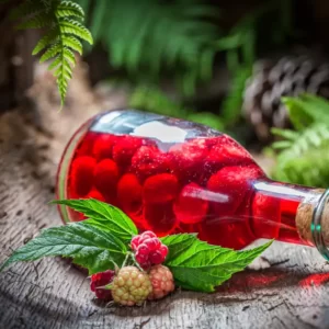 homemade-raspberries-tincture-made-of-alcohol